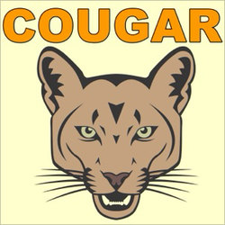 Cougar — Animal Sounds artwork
