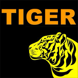 Tiger — Animal Sounds artwork