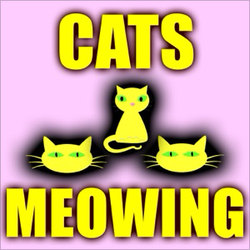 Cats Meowing — Text Tone Sound Effects artwork