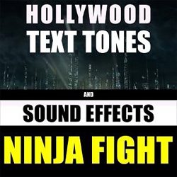 Cover artwork for Ninja Fight by Hollywood Text Tones And Sound Effects