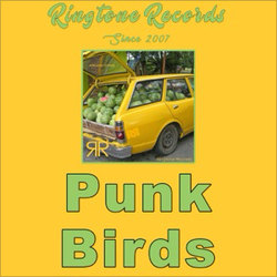 Original cover art for Punk Birds by RR Collective