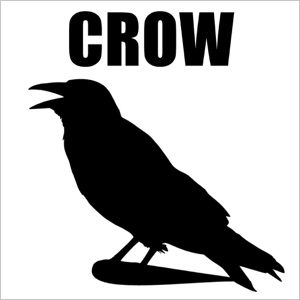 Crow ringtone by Animal Sounds