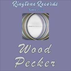 Wood Pecker (Beeps and Bells) ringtone cover by Beep On Bell