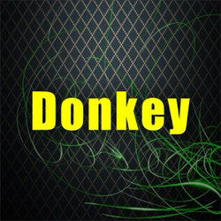 Donkey ringtone cover by RR Mono Poly Super