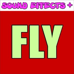 Fly (Text Tone) text tone by Sound Effects +